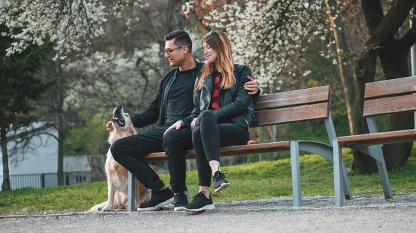 Glückliches Paar Auf Einer Bank Mit Einem Golden Retriever Hintergrund — Stockfoto