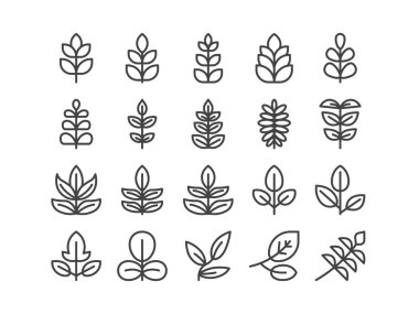 Bileşik Yaprak Taslak Çizgisi Simgesi Bahar Tasviri Vektör 10. Düzenlenebilir Vuruş.