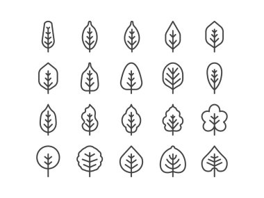 Spring Leaf Taslak Hattı Simgesi Minimum İlkbahar Tasviri Vektör 10. Düzenlenebilir Vuruş.