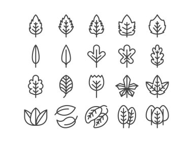 Yaprak Taslak Çizgisi Simgesi Sonbahar Sonbaharı Belirledi ve İlkbahar Tasviri Minimum Şekil Vektör EPS 10. Düzenlenebilir Vuruş