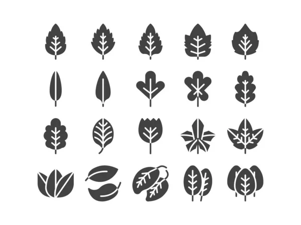 Leaf Solid Glyph Icon Set Autumn Fall Spring Concept Minimal — Stock Vector