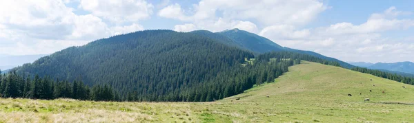 Escape to the mountains. Panorama of the Carpathian Mountains