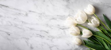 Mermer zemin üzerinde beyaz laleler