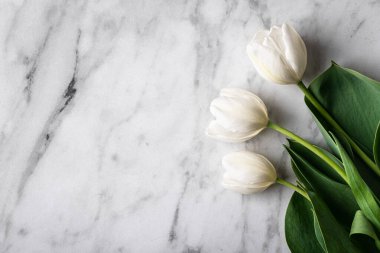 Mermer zemin üzerinde beyaz laleler