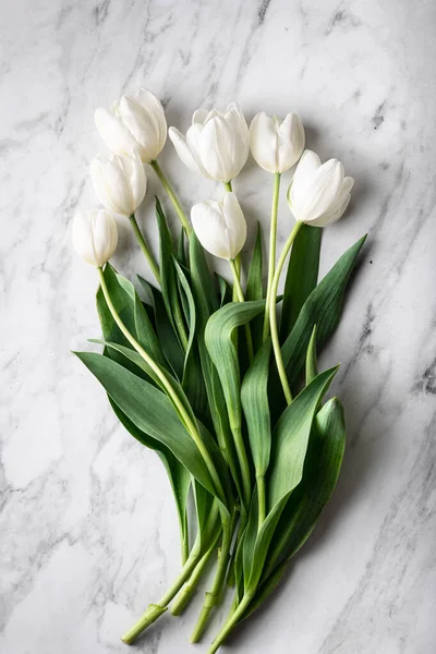 Tulipes blanches sur fond de marbre — Photo