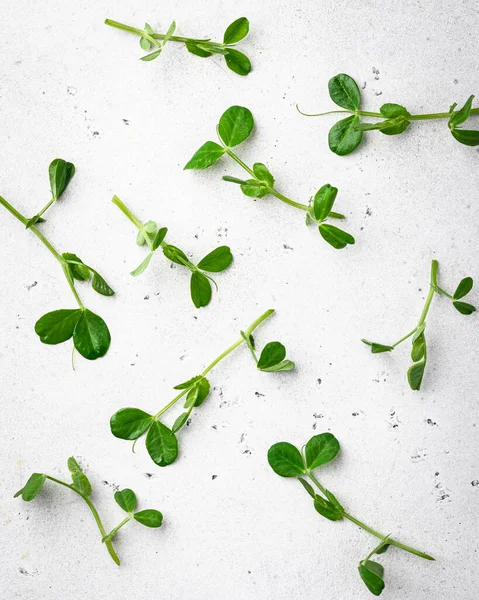 Padrão de ervilha micro verdes — Fotografia de Stock