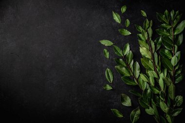 Kol yaprakları siyah arkaplan, üst görünüm, metin için yer.