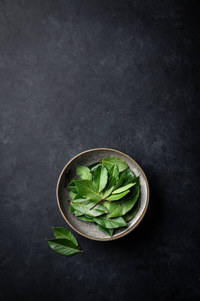 bay leaves on a black background, top view, place for text.