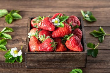 Çiçekli ve yapraklı çilekler 