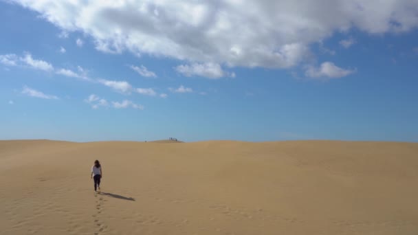 Uma Menina Caminhando Pelo Deserto Escalando Uma Duna — Vídeo de Stock