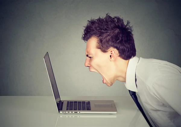 Сердитый бизнесмен работает на ноутбуке — стоковое фото