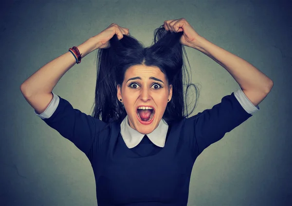 Stress. vrouw benadrukt is gek trekken van haar haren in frustratie — Stockfoto