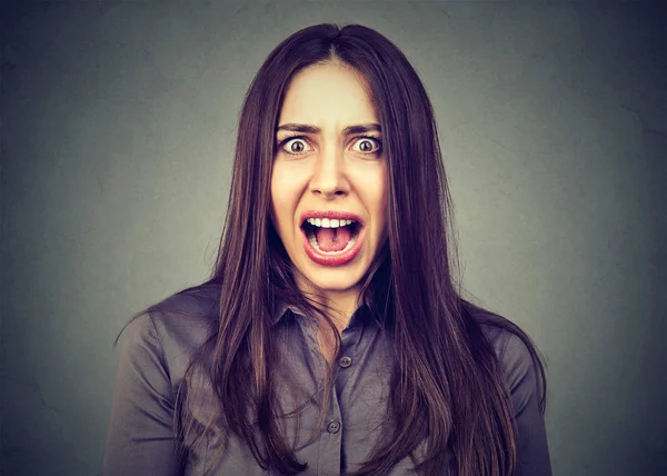 Ενοχλημένος θυμωμένη γυναίκα ουρλιάζοντας — Φωτογραφία Αρχείου