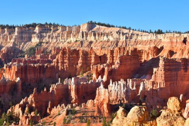 Bryce Canyon Ulusal Parkı 'nda sonbahar günü Utah USA 