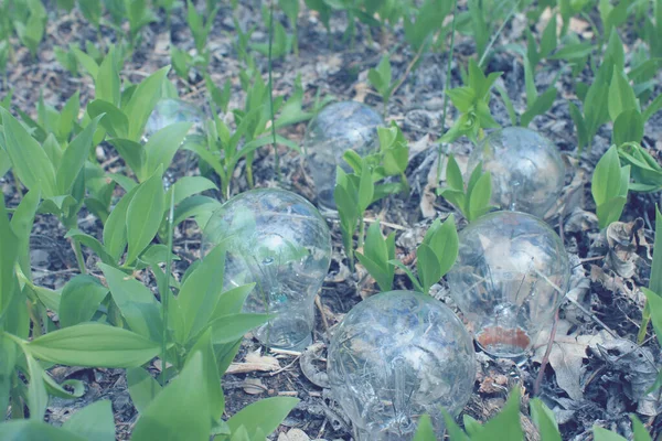 Yanan lamba ağaçta yaprakların üzerinde