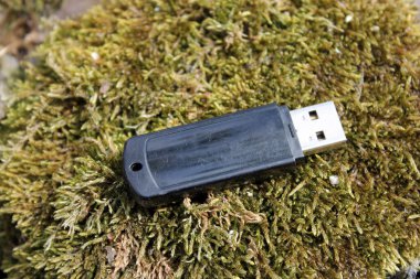 Tahtadaki yosunlara yapışmışız.