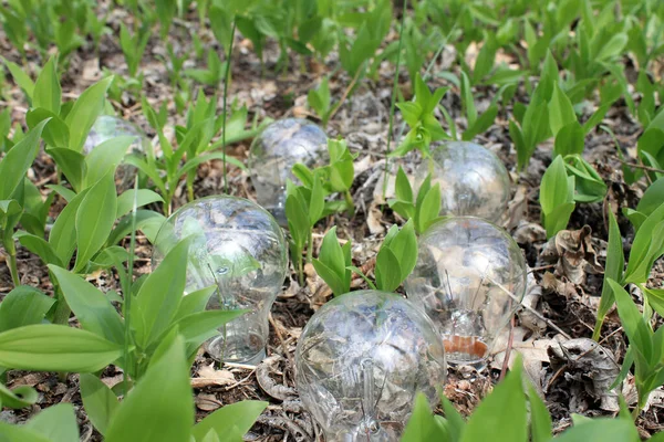 Yanan lamba ağaçta yaprakların üzerinde