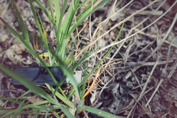 Tahtadaki çimlere saplandık.