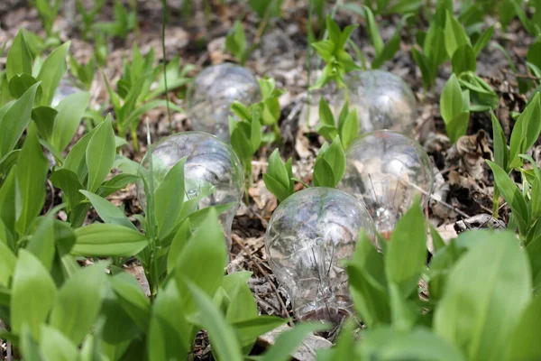 Yanan lamba ağaçta yaprakların üzerinde