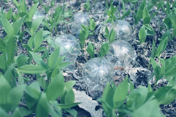 Yanan lamba ağaçta yaprakların üzerinde