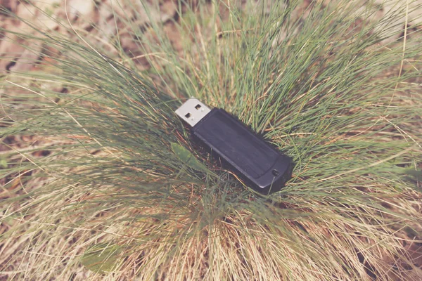 Tahtadaki çimlere yapışmışız.