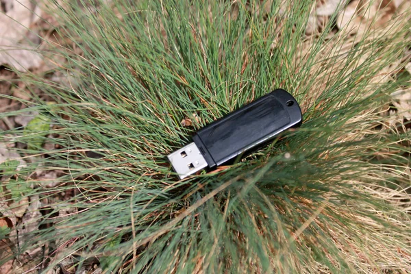 Tahtadaki çimlere yapışmışız.