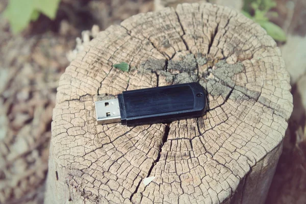 Ağaçtaki usb çubuğu