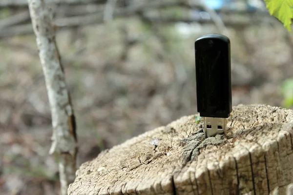 Ağaçtaki usb çubuğu