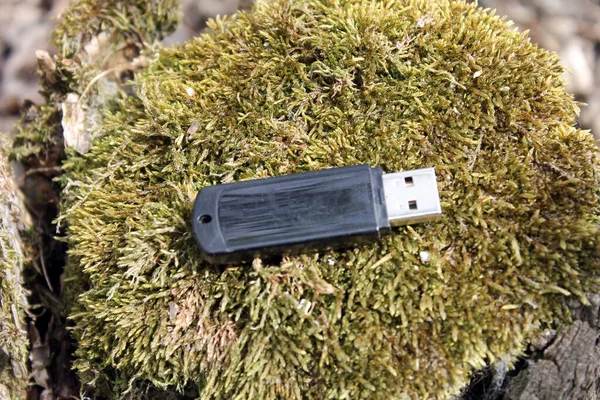 Tahtadaki yosunlara yapışmışız.