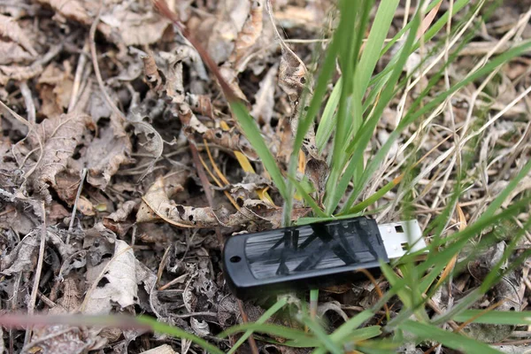 Tahtadaki çimlere yapışmışız.