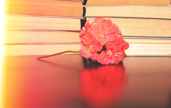 Κόκκινο Λουλούδι Στο Τραπέζι Και Βιβλία — Φωτογραφία Αρχείου