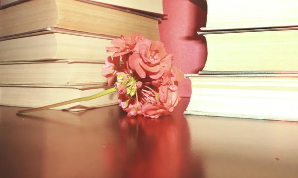 Κόκκινο Λουλούδι Στο Τραπέζι Και Βιβλία — Φωτογραφία Αρχείου