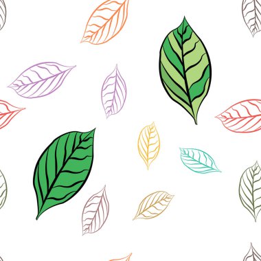 Renkli güzel yaprak botanik desensiz beyaz arkaplan