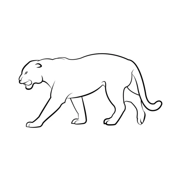 Panter leopar avcısı Afrika, jaguar avcısı tehlikeli bir maskot.