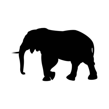 Yürüyen büyük fil. Tayland 'ın siyah ve silueti ile güçlü bir güç.