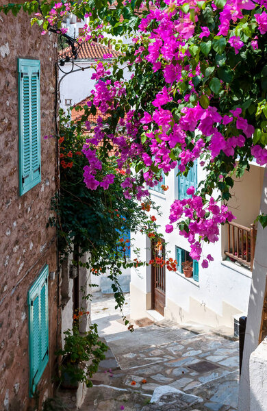 Узкая греческая улица, украшенная цветущими цветами бугенвиллии в городе Скопелос, Северные Спорады, Греция
