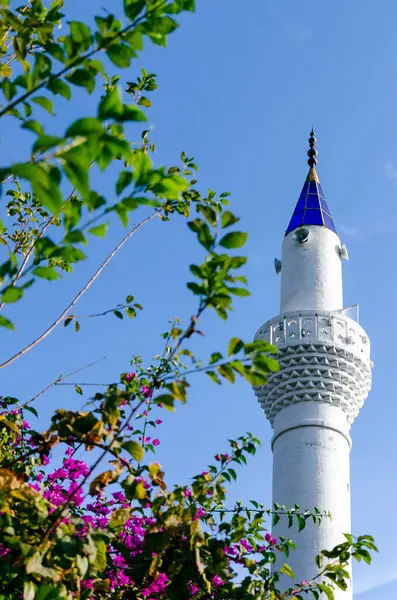 Tall White Minaret Blue Roof Trees Branches Blooming Flowers Blue — Stock Photo, Image