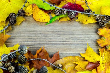 Ağaç koni çerçevesinin içindeki ahşap arkaplan fotokopi alanının üst görüntüsü dallardaki kozalaklar ve farklı sonbahar yapraklarının düşen gölgeleri