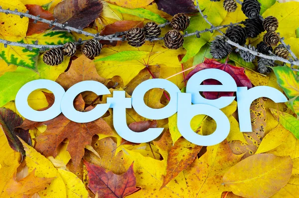 Top View Word October Blue Letters Made Paper Larch Cones — 스톡 사진