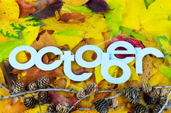 Draufsicht Auf Das Wort Oktober Blauen Buchstaben Aus Papier Über — Stockfoto