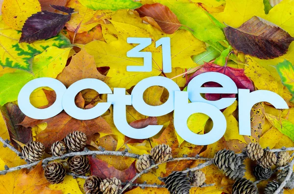 10月のトップビューと図31異なる色合いの秋の葉の背景に枝にカラマツコーン上の紙で作られた青い文字で — ストック写真