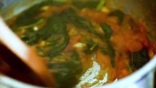 在钢锅中烹调时，用鲜亮多汁的番茄酱搅拌. — 图库视频影像