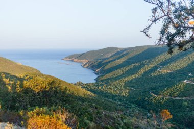 Halkidiki Yarımadası 'ndan Ege Denizi manzarası