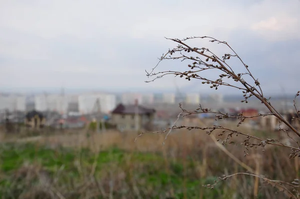 Yaşam Ilerleme Doğa Insan — Stok fotoğraf