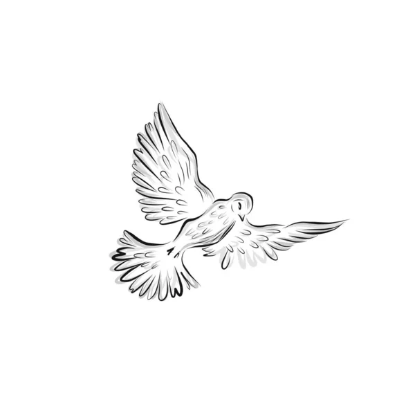 날아다니는 비둘기 해바라기 비둘기 실루엣 — 스톡 벡터