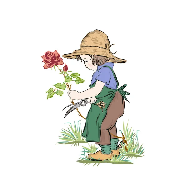 Little Gardener Cuts Stem Rose Boy Straw Hat Apron Cares — Stock Vector