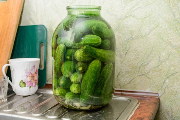 Grön välsmakande gurkor — Stockfoto