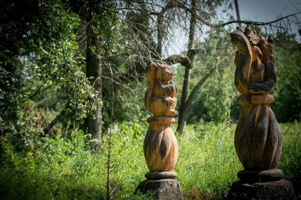 Écureuils en bois dans la forêt — Photo