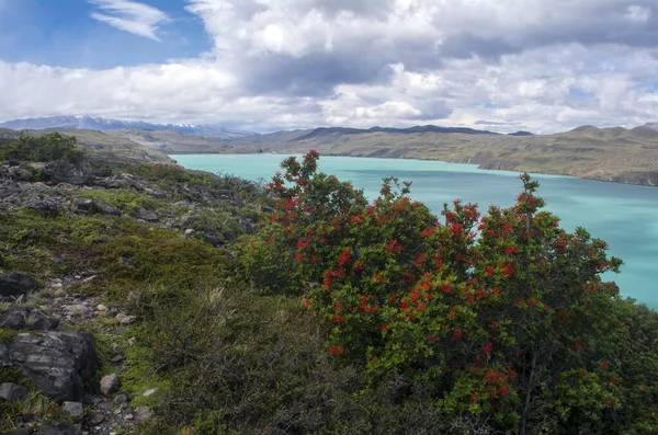 Lago Nordenskjold Girato Durante Circuito Trekking Torres Del Paine Patagonia — Foto Stock