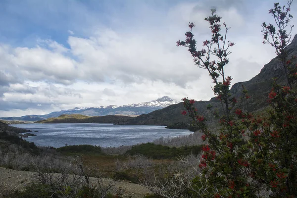 Lago Nordenskjold Filmado Durante Circuito Trekking Torres Del Paine Patagônia — Fotografia de Stock